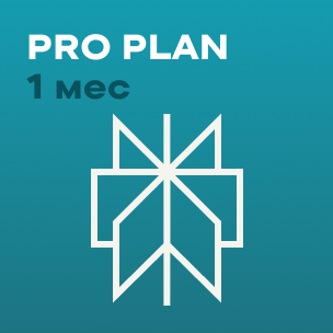 Perplexity Pro Plan - 1 мес