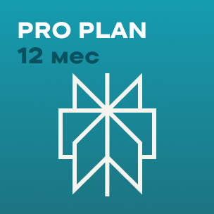 Perplexity Pro Plan - 12 мес